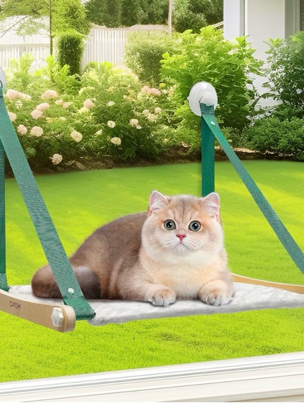 Catism: Window Cat Hammock - Comfortable Pet Perch